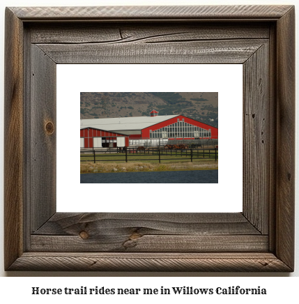 horse trail rides near me in Willows, California